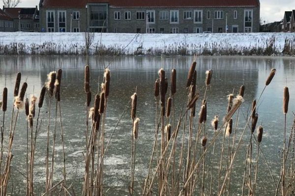 8df1d020-3841-4630-8109-cebe97255a40