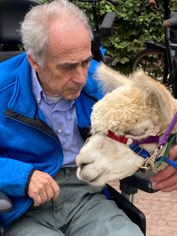 sfeer-buiten-warmond-2021-activiteit-bewoner-alpaca