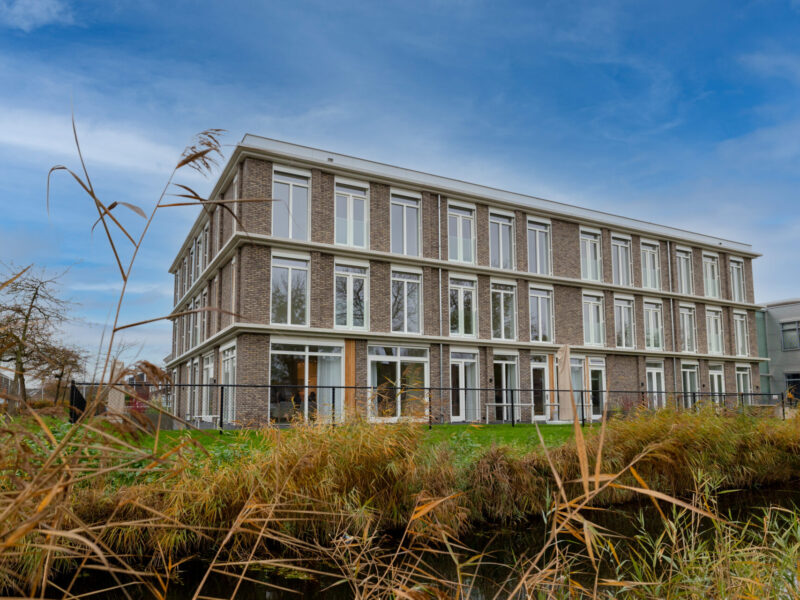 X miketekstenbeeld--2