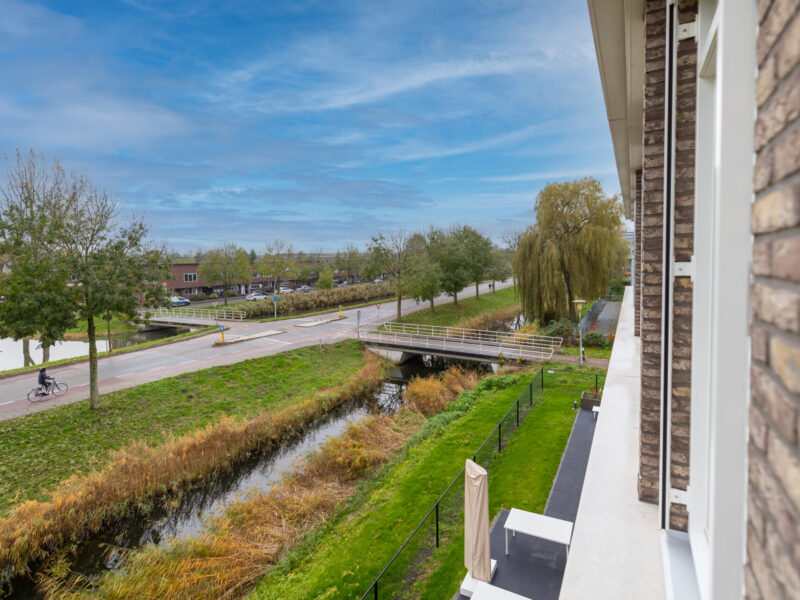 x miketekstenbeeld--6