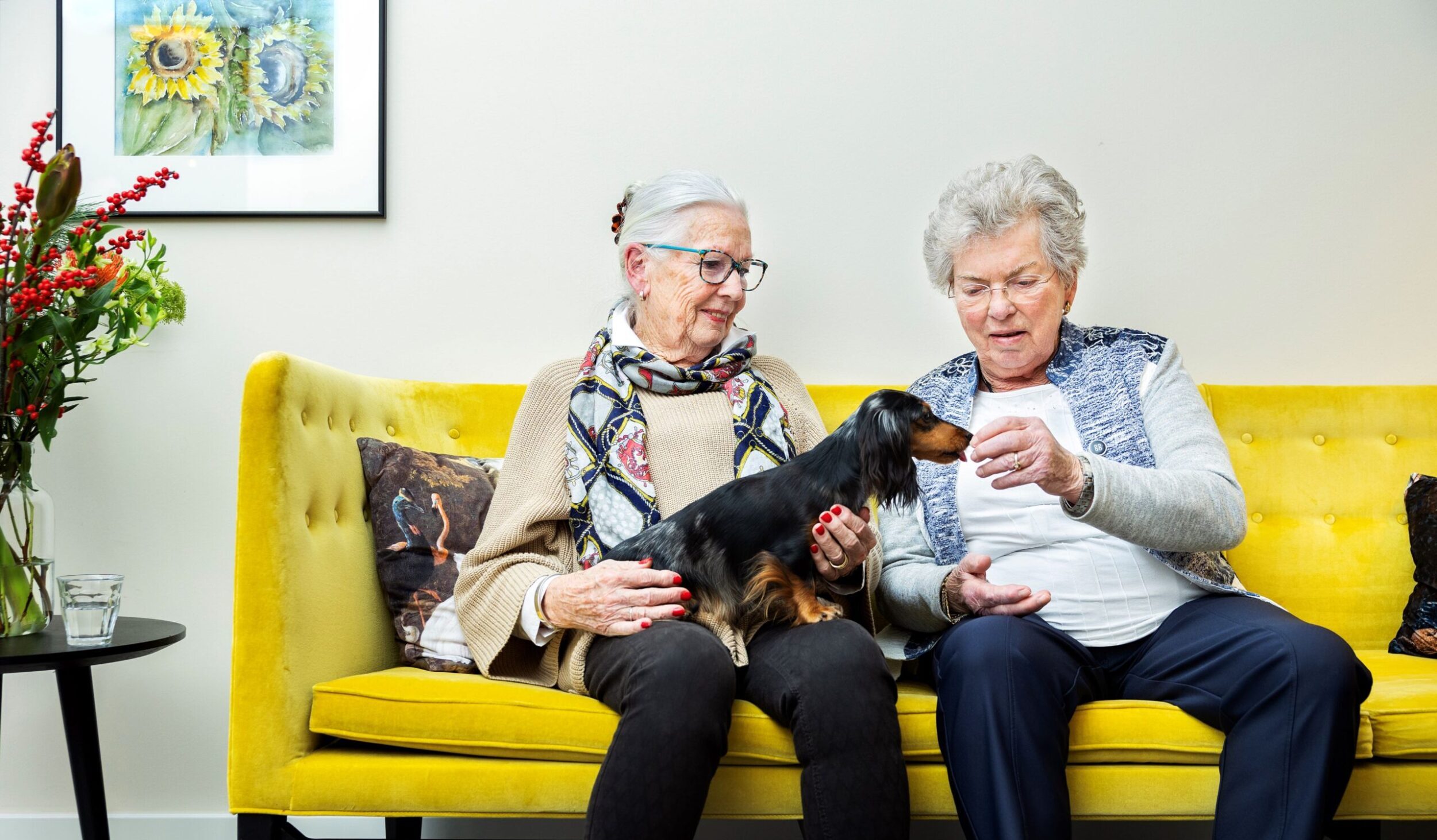 Dames op het gele bankje met de hond